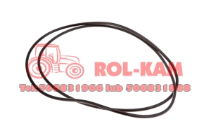 ORING SKRZYNI BIEGÓW MASSEY FERGUSON 3388928M1