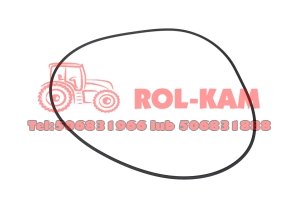 PIERŚCIEŃ USZCZELNIAJĄCY DYNASHIFT MASSEY FERGUSON 3900246M91