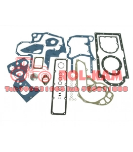 ZESTAW USZCZELEK SILNIKA DÓŁ 3136813R99 