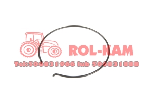 PIERŚCIEŃ ZABEZPIECZAJĄCY MASSEY FERGUSON 981917M1