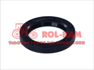 USZCZELNIACZ KOŁA ZAMACHOWEGO MASSEY FERGUSON 3388619M1