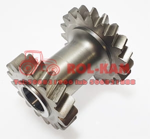 KOŁO ZĘBATE REWERSU Z19/Z16 MASSEY FERGUSON