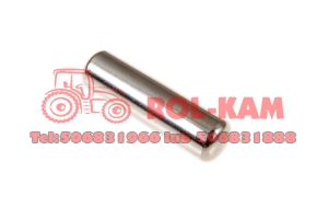 IGIEŁKA SATELITY UKŁADU PLANETARNEGO RENAULT CLAAS 6005019451