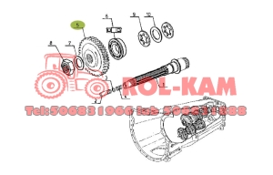 KOŁO ZĘBATE Z=29 WAŁKA POŚREDNIEGO ORYGINAŁ RENAULT CLAAS 6005030149