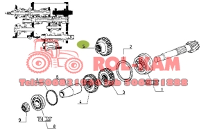 KOŁO ZĘBATE Z 26 SKRZYNI BIEGÓW ORYGINAŁ RENAULT CLAAS