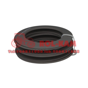 KOMPLET SPRĘŻYN KOSZA REWERSU CLAAS ARES ARION 0011403120