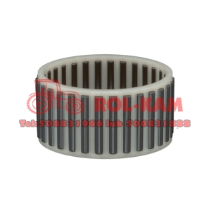 ŁOŻYSKO REWERSU RENAULT CLAAS 6005018840