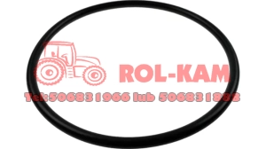 ORING RENAULT CLAAS 7700020456