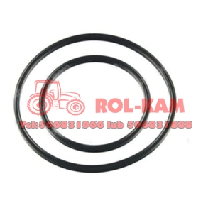 ZESTAW PIERŚCIENI USZCZELNIAJĄCYCH KOSZA SPRZĘGŁA RENAULT CLAAS ARES 6005022084