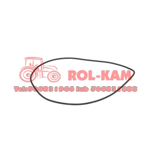 ORING PÓŁBIEGU RENAULT CLAAS 6005018665