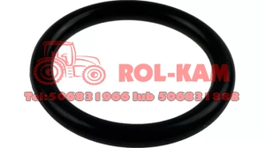 ORING RENAULT CLAAS 7700026380