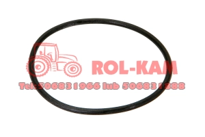 ORING RENAULT CLAAS 6005021678