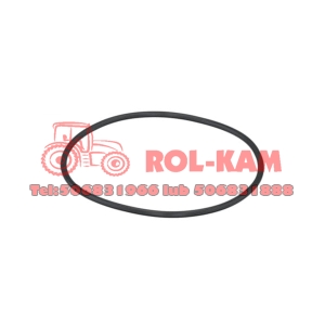 ORING RENAULT CLAAS 6005018675