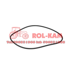 ORING WYCISKU HAMULCA RENAULT CLAAS 6005023789