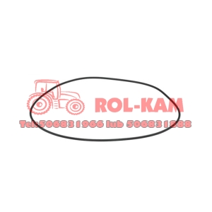 ORING RENAULT CLAAS 6005022118