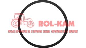 ORING SKRZYNI BIEGÓW RENAULT CLAAS 6005031648