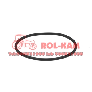 PIERŚCIEN USZCZELNIAJĄCY WYSPRZĘGLIKA RENO 