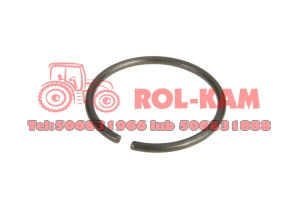 PIERŚCIEŃ ZABEZPIECZAJĄCY RENAULT CLAAS 6005018847