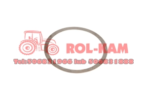 PODKŁADKA REGULACYJNA RENAULT CLAAS - 0,10 MM