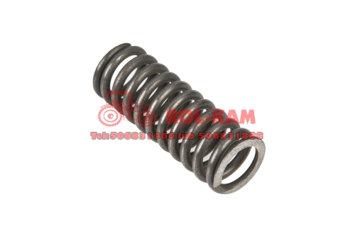 6005018801.jpg
