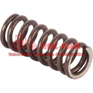 SPRĘŻYNA RENAULT CLAAS 6000197199