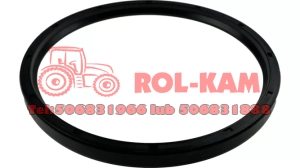 USZCZELNIACZ TYLNEJ POCHWY RENAULT