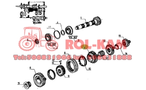KOŁO ZĘBATE DRUGIEGO BIEGU RENAULT CLAAS 7700012915 Z26