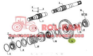 KOŁO ZĘBATE SKRZYNI BIEGÓW RENAULT Z47