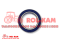 ROLKAM9_1_1000x700.png