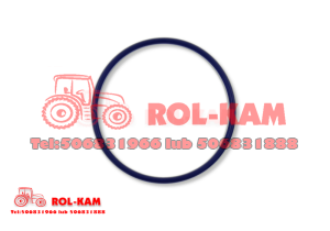 ORING TULEI CASE IH 38-62
