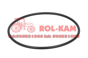 ORING TULEI RENAULT FENDT F281202210030