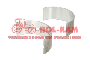 PANEWKI JOHN DEERE RE651685