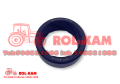 rolkam174_1000x700.png