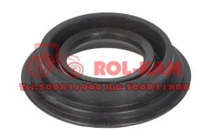 USZCZELNIACZ WAŁKA POMPY WTRYSKOWEJ MASSEY FERGUSON LANDINI