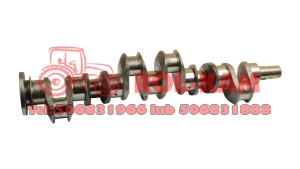 WAŁ KORBOWY (NA SZNUR) MASSEY FERGUSON  6.354-4 3637408M91