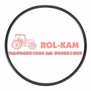 ORING OBUDOWY TERMOSTATU MASSEY FERGUSON 4223842M1 ORYGINAŁ