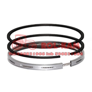 PIERŚCIENIE TŁOKOWE MASSEY FERGUSON 745738M91 98.48 MM - STD