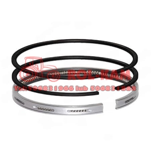 PIERŚCIENIE TŁOKOWE LANDINI MASSEY FERGUSON 4222136M91 100MM STD