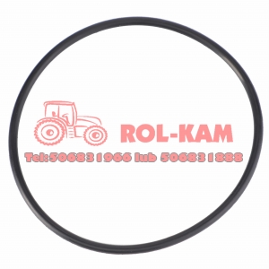 ORING POMPY WTRYSKOWEJ MASSEY FERGUSON 4222834M1