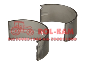 PANEWKA GŁÓWNA MWM RENAULT FENDT F139207210070