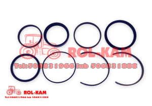 ZESTAW NAPRAWCZY WYCISKU SPRZĘGŁA MASSEY FERGUSON