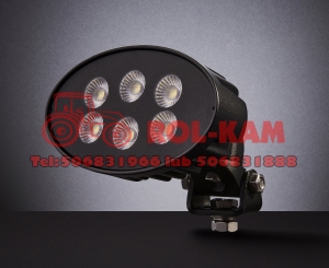 Lampa robocza LED  30W  owalna  rozproszona  z wtyczką DT